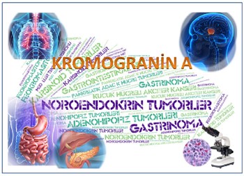 Kromogranin A (CgA)